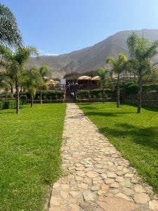 venta de lote de campo en calango cañete 5 